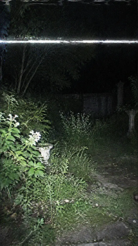 Recovered-footage storytelling