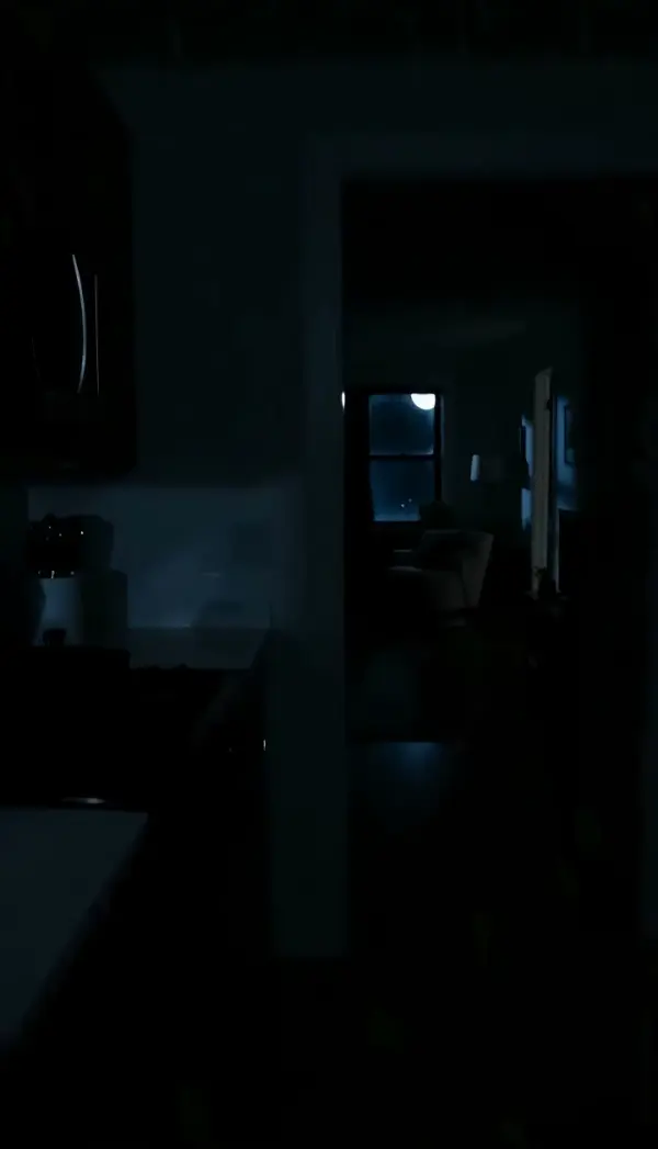 Handheld Shot (Handheld Camera Effect)