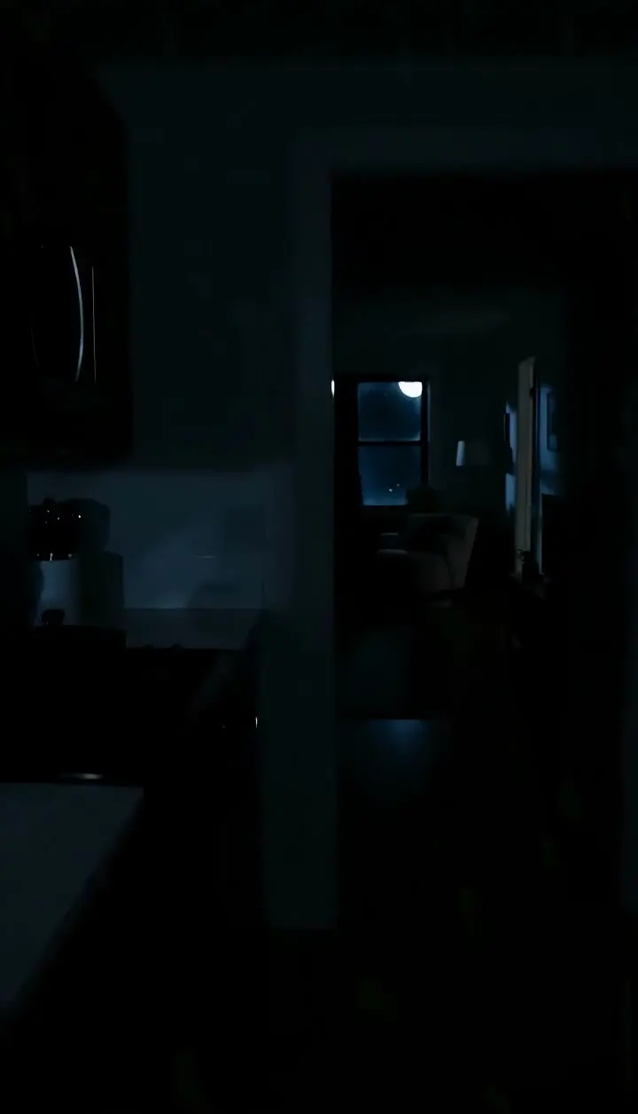 Handheld Shot (Handheld Camera Effect)