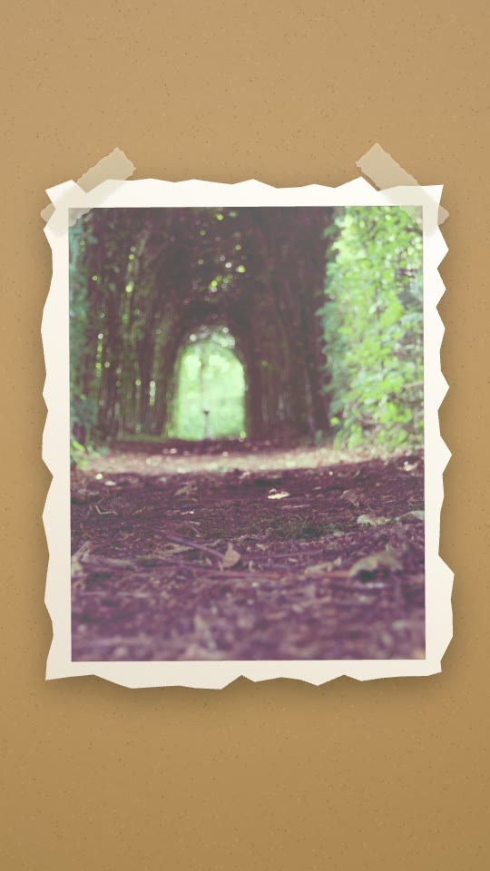 A photo unfolds as a taped, torn-edge sticker on kraft. — rendered sample