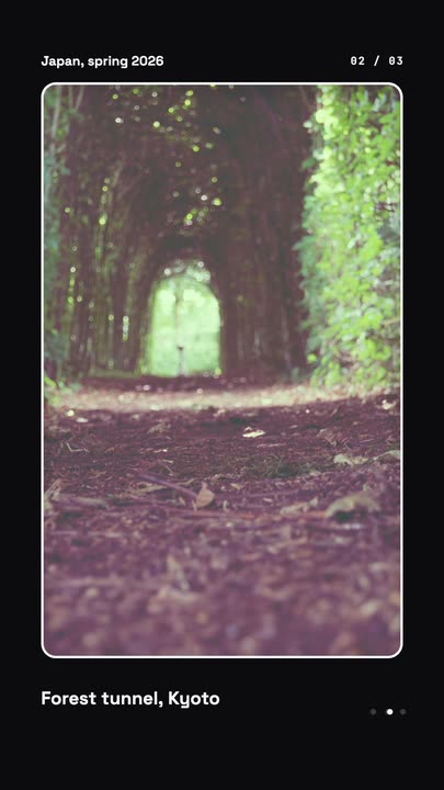 Nested Photo Edit template at 2.4s — The second grows out
